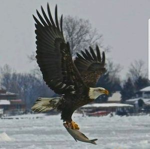 Meet your Posher, Nathan